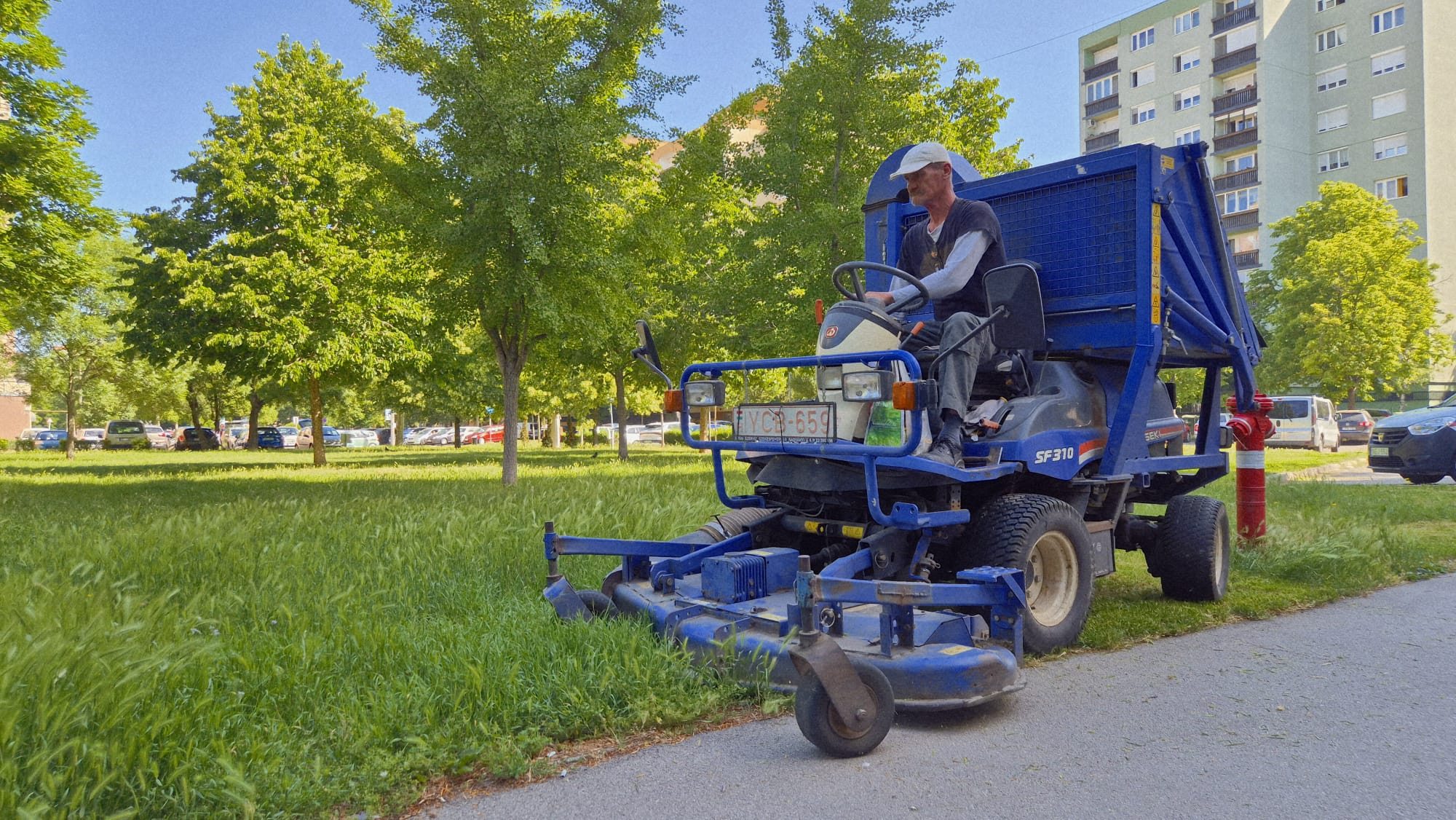 Vágatlan május után vágatlan nyár Fehérváron